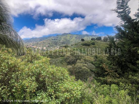  Se Vende en Teror - LAS PALMAS 