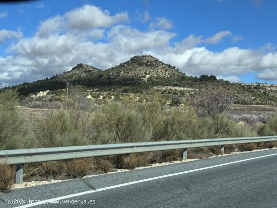   ¡Descubre el Paraíso en  Las Presillas ! Terreno con Viñedos en Huescar GRANADA. - GRANADA 