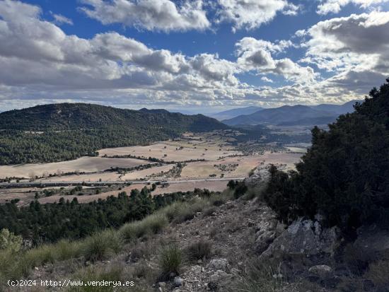  ¡Descubre el Paraíso en  Las Presillas ! Terreno con Viñedos en Huescar GRANADA. - GRANADA