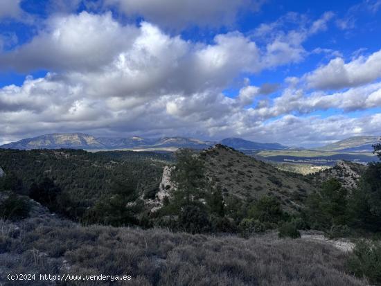  ¡Descubre el Paraíso en  Las Presillas ! Terreno con Viñedos en Huescar GRANADA. - GRANADA