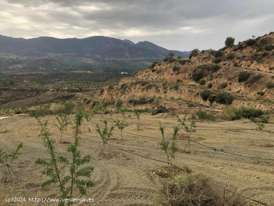 Se Vende en El Valle - GRANADA