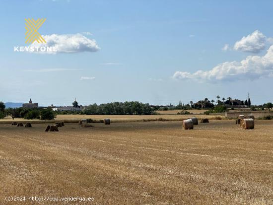  Terreno Urbanizable en Porreres - BALEARES 