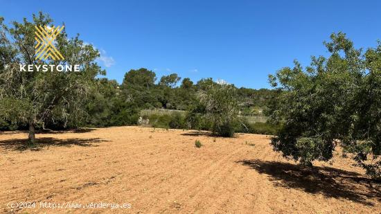 Terreno Urbanizable en Porreres - BALEARES