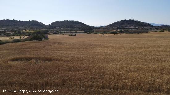 Terreno con Proyecto basico y  licencia en Sant Joan - BALEARES