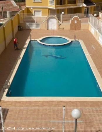 Fantástico apartamento con piscina comunitaria el Almoradí, Alicante, Costa Blanca - ALICANTE