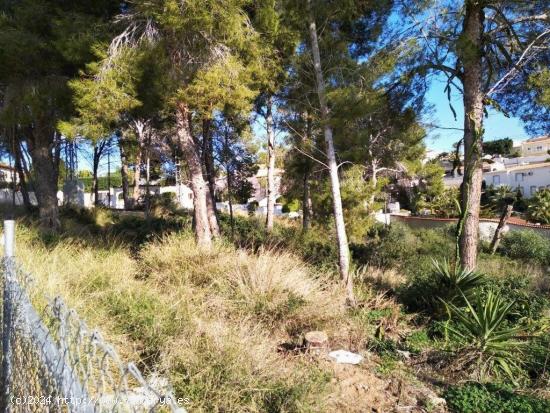  3 parcelas edificables de 800 M2 en venta en una zona tranquila a 2.5 km de Calpe - ALICANTE 