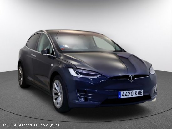 TESLA Model X en venta en LalÃ­n (Pontevedra) - LalÃ­n