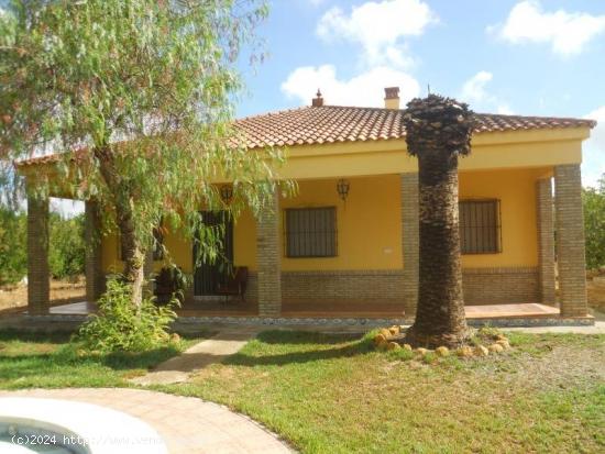  CHALET CON ESCRITURAS, 3.500 M2. TERRENO,  AMUEBLADO  - SEVILLA 