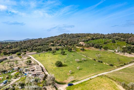 Terreno rústico con pozo de agua en Porreres - BALEARES