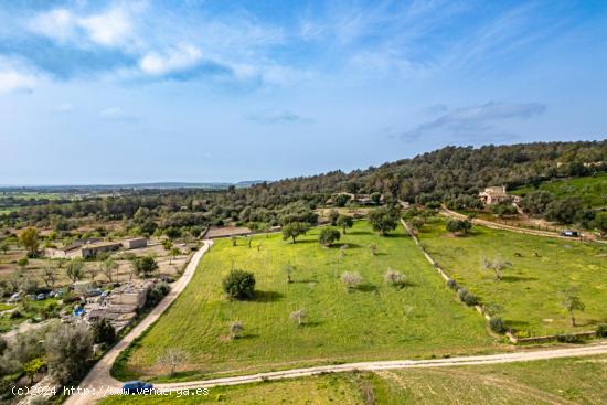 Terreno rústico con pozo de agua en Porreres - BALEARES