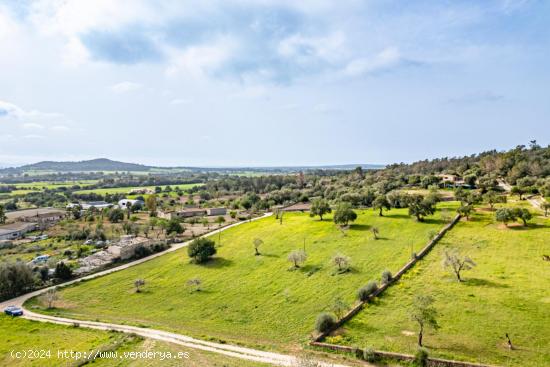 Terreno rústico con pozo de agua en Porreres - BALEARES