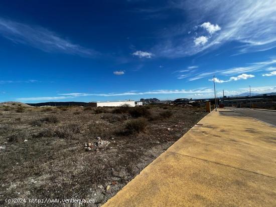 Parcela de 2500 m2 en el Polígono Industrial La Pólvora en Taraguilla- San Roque - CADIZ