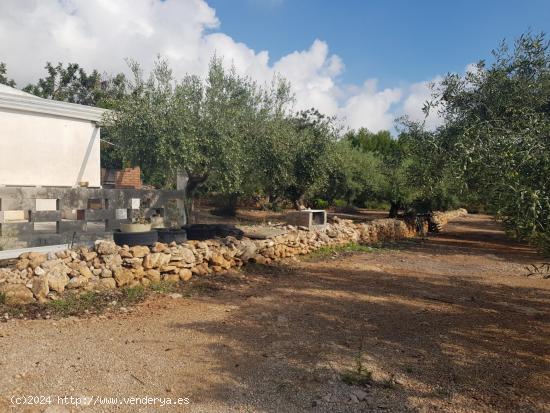 FINCA RÚSTICA CERCA DE SERRAMAR - TARRAGONA