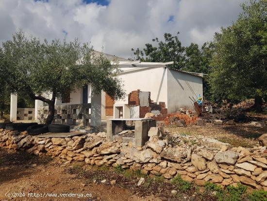 FINCA RÚSTICA CERCA DE SERRAMAR - TARRAGONA