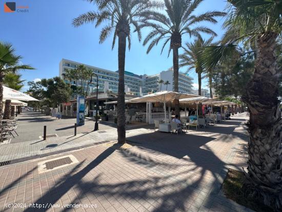 Local entresuelo en Primera línea de mar - BALEARES