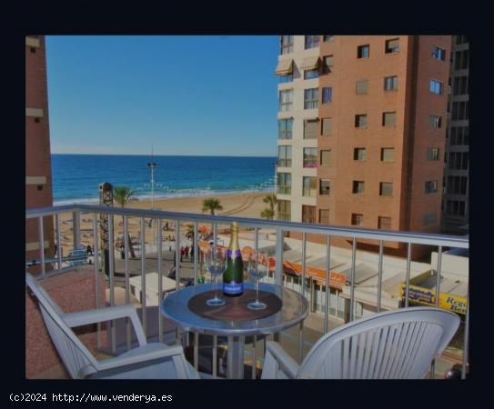 Apartamento de 2 dorm. en primera línea de playa levante www.inmobiliarialesdunes.com - ALICANTE