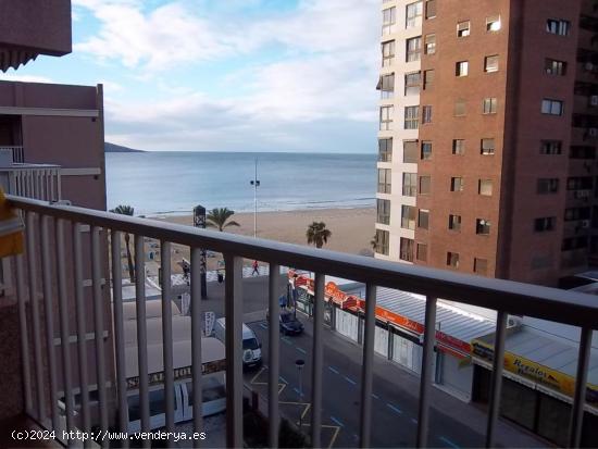 Apartamento de 2 dorm. en primera línea de playa levante www.inmobiliarialesdunes.com - ALICANTE