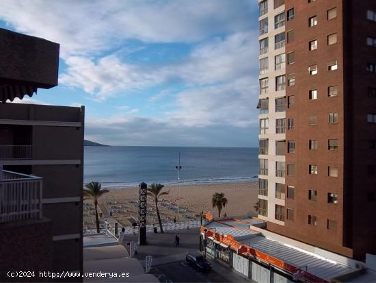 Apartamento de 2 dorm. en primera línea de playa levante www.inmobiliarialesdunes.com - ALICANTE