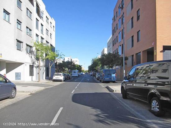 DEJA DE DAR VUELTAS A LA MANZANA - MADRID