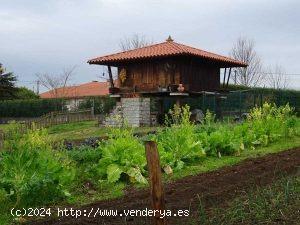  DOS PARCELAS - ASTURIAS 