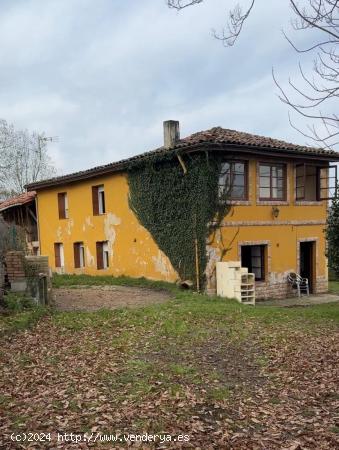 CASA CON TERRENO - ASTURIAS