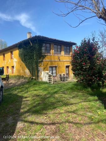 CASA CON TERRENO - ASTURIAS