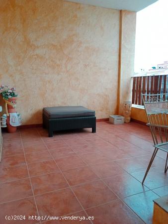 AMPLIO DUPLEX EN FORTUNA ZONA RESIDENCIAL TRANQUILA Y AGRADABLE - MURCIA