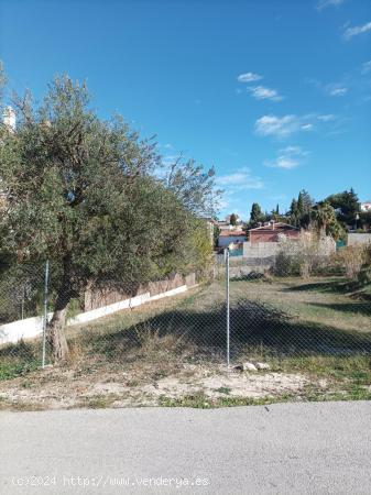 PARCELA A LAS AFUERAS DE ALHAURIN EL GRANDE - MALAGA