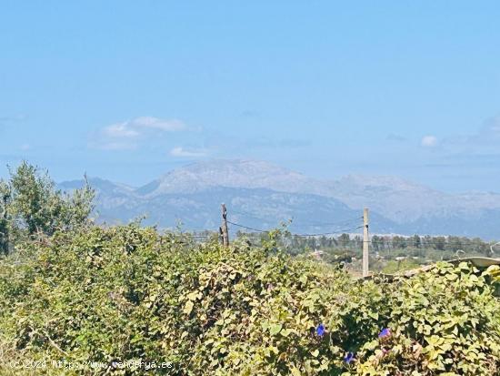 MAGNÍFICO SOLAR URBANO EN SINEU - BALEARES