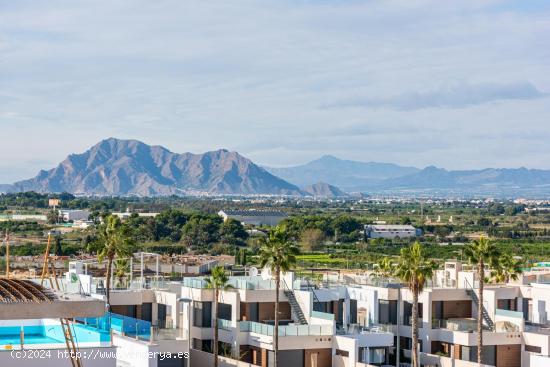  PAREADO DE OBRA NUEVA EN BENIJÓFAR CON PISCINA PRIVADA - ALICANTE 