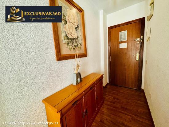 Apartamento en Centro de Benidorm de 2 Hab y 1 baño en Los Vascos. Exclusivas360 - ALICANTE