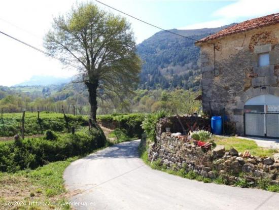 Se vende terreno rústico - CANTABRIA