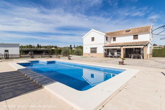  Chalet de dos plantas en plena huerta de Mula (Murcia) - MURCIA 