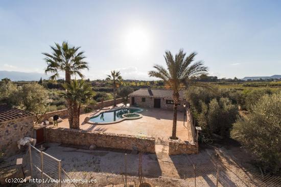  Amplio chalet a la venta en plena huerta de Mula (Murcia) - MURCIA 