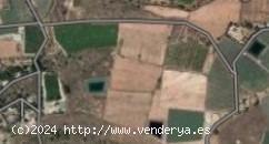 TERRENO RURAL - MURCIA