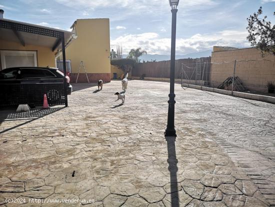 Chalet independiente  Sangonera la Seca con piscina - MURCIA