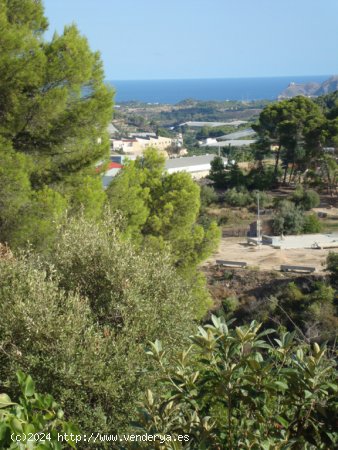 Casa-Chalet en Venta en Callosa d En Sarria Alicante