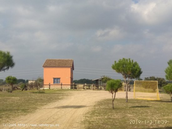  Casa-Chalet en Venta en Almonte Huelva 