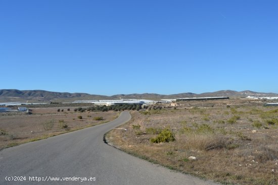 Suelo rústico en Venta en Hornillos Almería