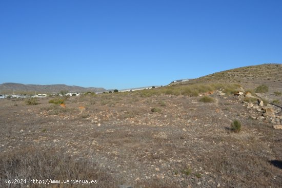 Suelo rústico en Venta en Hornillos Almería