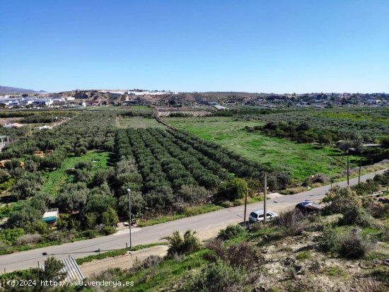 Suelo rústico en Venta en Huercal De Almeria Almería