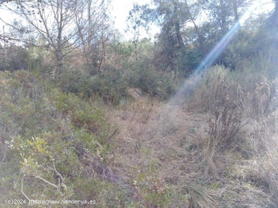 TERRENO URBANO EN VENTA EN EL PONT DE VILOMARA I ROCAFORT (RIVER PARK)