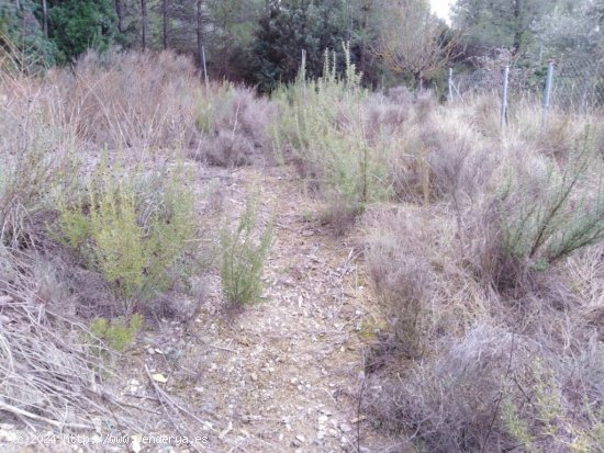 TERRENO URBANO EN VENTA EN EL PONT DE VILOMARA (RIVER PARK)