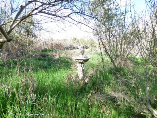 FINCA RÚSTICA DE 2.200 M2 CON AGUA DE ACEQUIA ILIMITADA, ZONA AGRÍCOLA Y BOSCOSA EN VENTA EN MANRE