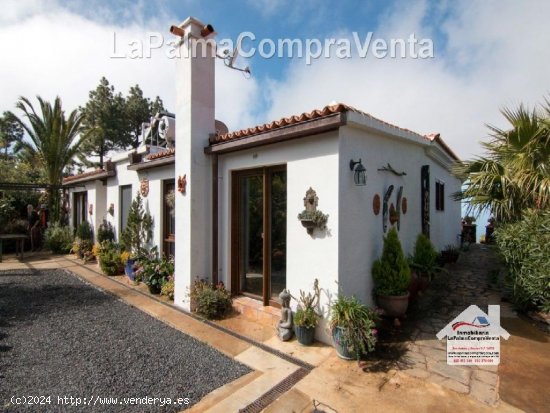 Casa-Chalet en Venta en Paso, El Santa Cruz de Tenerife