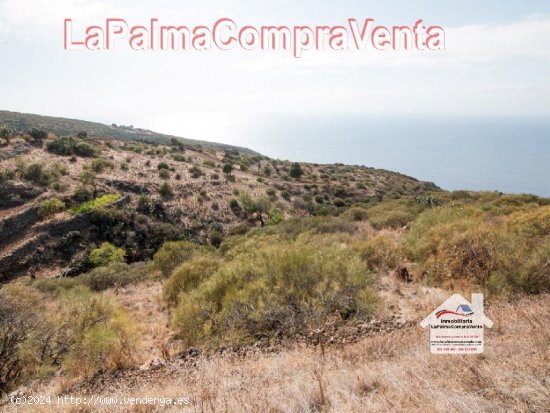 Suelo rústico en Venta en Garafia Santa Cruz de Tenerife