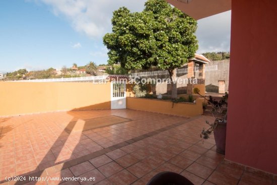 Casa-Chalet en Venta en Puntagorda Santa Cruz de Tenerife