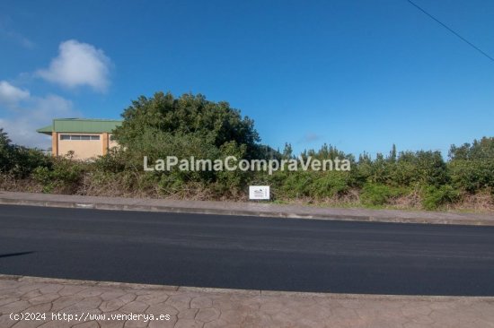 Solar industrial en Venta en Barlovento Santa Cruz de Tenerife