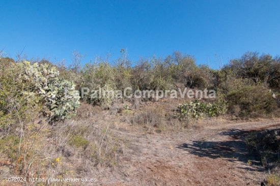 Suelo rústico en Venta en Puntagorda Santa Cruz de Tenerife