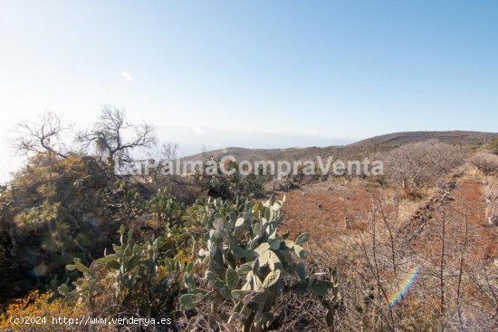 Suelo rústico en Venta en Puntagorda Santa Cruz de Tenerife